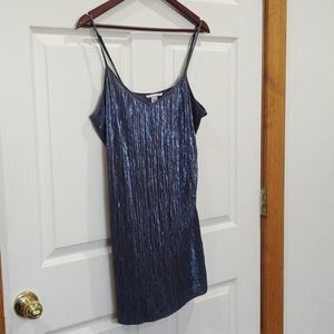 Victoria's Secret Shimmer Slip